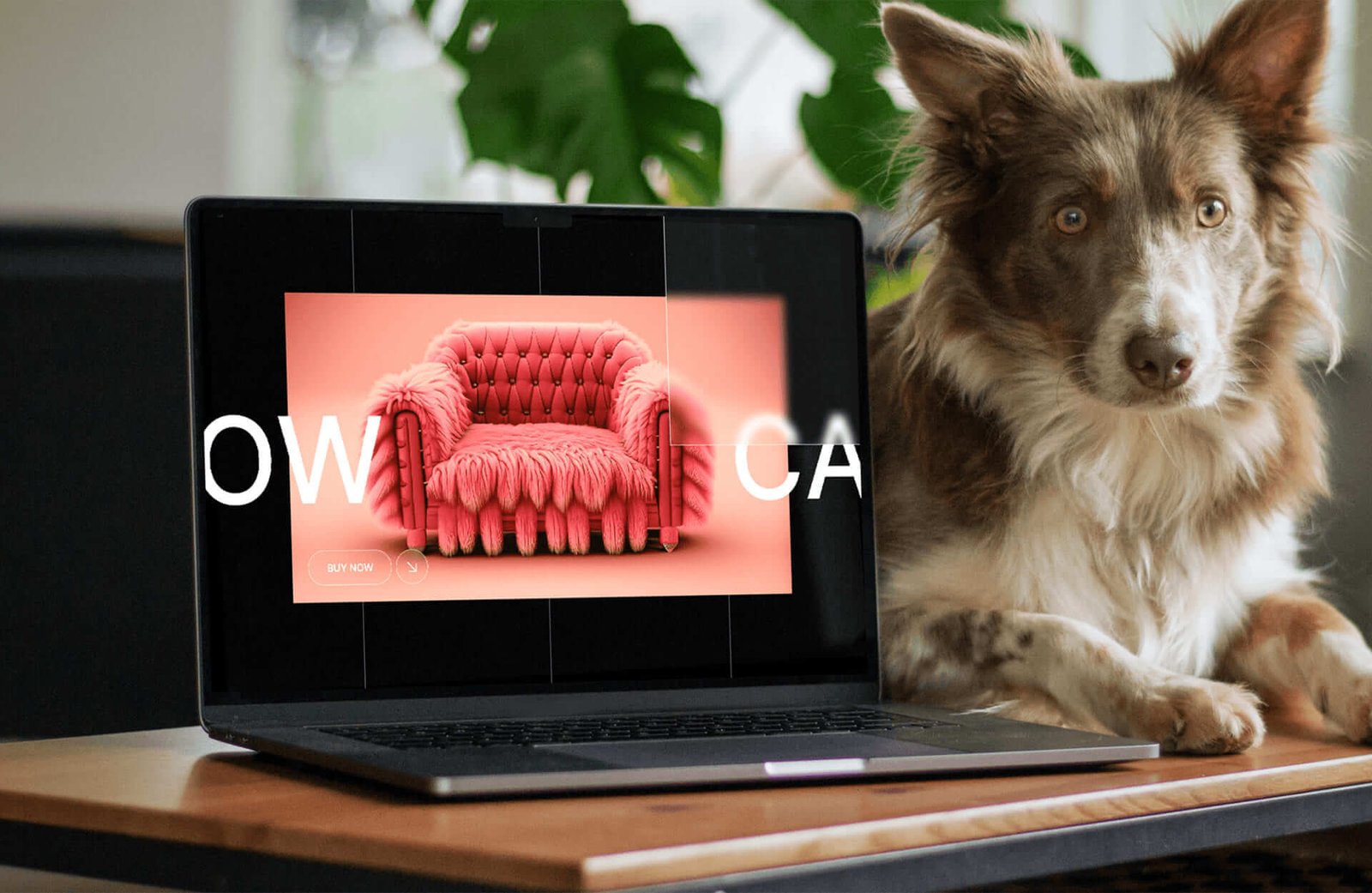 Website Mockup Design