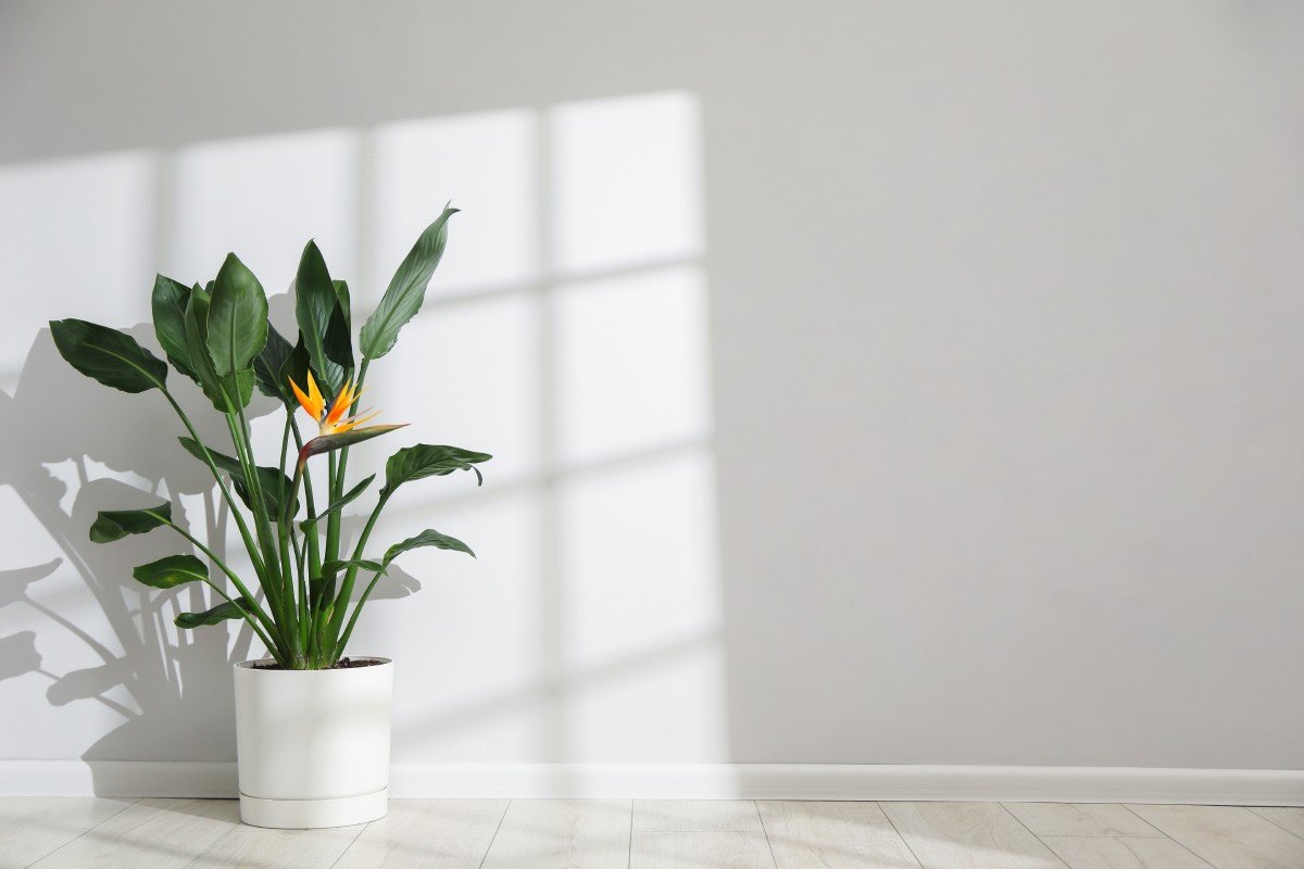 5 Mindset Shifts Every Female Entrepreneur Needs